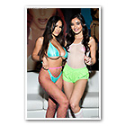 Autumn Falls, Emily Willis