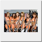 D1 Grand Prix Umbrella Girls